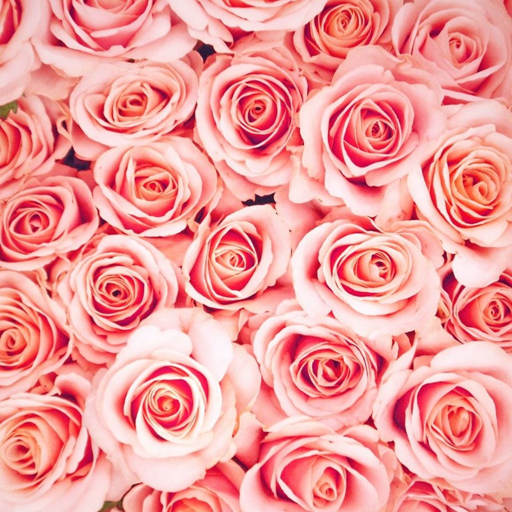 Meet your Posher, Felicity